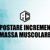 29. Impostare Incremento Massa Muscolare