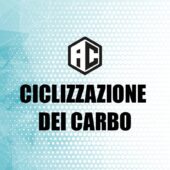 31. Ciclizzazione dei Carbo